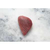 Read Regal Fish Reviews