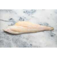 Read Regal Fish Reviews