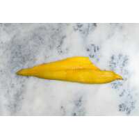 Read Regal Fish Reviews