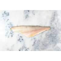 Read Regal Fish Reviews