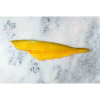 Read Regal Fish Reviews