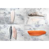 Read Regal Fish Reviews