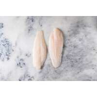 Read Regal Fish Reviews