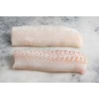 Read Regal Fish Reviews