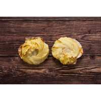 Read Regal Fish Reviews