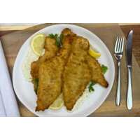 Read Regal Fish Reviews