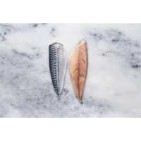 Read Regal Fish Reviews