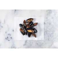 Read Regal Fish Reviews
