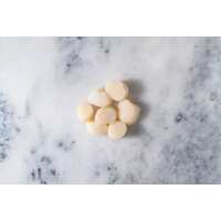 Read Regal Fish Reviews