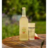 Read Biddenden Vineyards Reviews