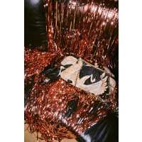 Read One Hundred Stars Trading Ltd Reviews