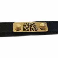 Read Engraving Studios Reviews