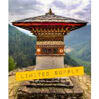 Read Ensar Oud Reviews