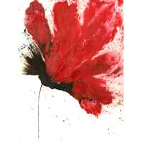 Read Ensar Oud Reviews