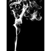 Read Ensar Oud Reviews