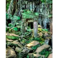 Read Ensar Oud Reviews