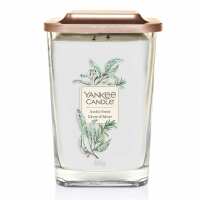 Read Celebright Reviews