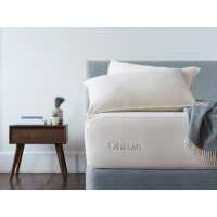 Read Obasan Ltd. Reviews