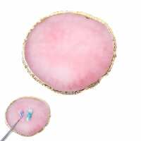 Lesen Lynis Nailshop · LyniNails · nailmondo GmbH Bewertungen