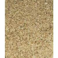 Read Fishing Bait World Reviews