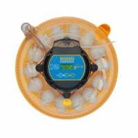 Read Aussie Chook Supplies Reviews