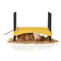 Read Aussie Chook Supplies Reviews