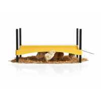 Read Strangford Incubators Reviews