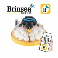 Read Strangford Incubators Reviews