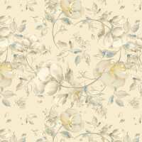 Read North and Finch Reviews