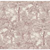 Read North and Finch Reviews