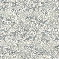 Read North and Finch Reviews