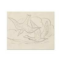 Read North and Finch Reviews