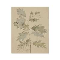 Read North and Finch Reviews