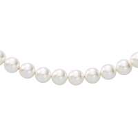 Lesen Heideman GmbH Bewertungen