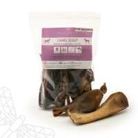 Read Dragonfly Products Ltd Reviews