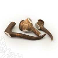 Read Dragonfly Products Ltd Reviews