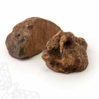 Read Dragonfly Products Ltd Reviews
