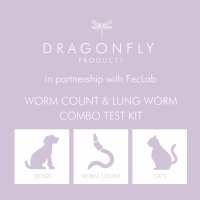 Read Dragonfly Products Ltd Reviews