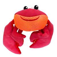 Read Dragonfly Products Ltd Reviews