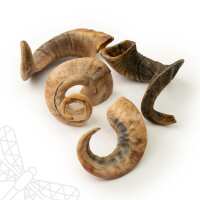 Read Dragonfly Products Ltd Reviews