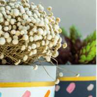 Read ClassBento UK Reviews
