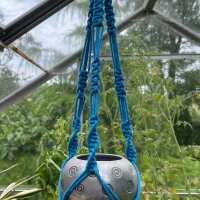 Read ClassBento UK Reviews