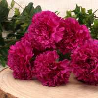 Read Wedding Mall Reviews