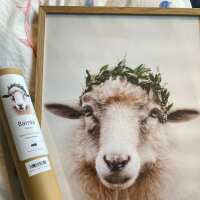 Lesen Ankerherz Verlag GmbH Bewertungen