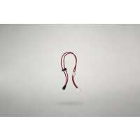 Lesen Wildling Shoes Bewertungen