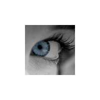 Read Forensit Software Limited Reviews