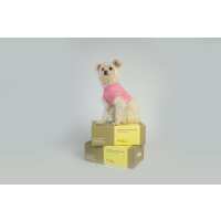 Read PoochSnax Reviews