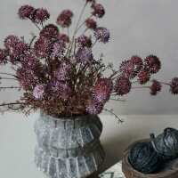 Read Westholme Interiors Ltd Reviews