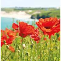 Read Evocative Cornwall Reviews