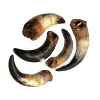 Read Woof Club Naturals Reviews